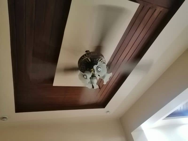 Imported Beautiful Fancy Fan 2