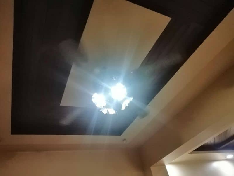Imported Beautiful Fancy Fan 3