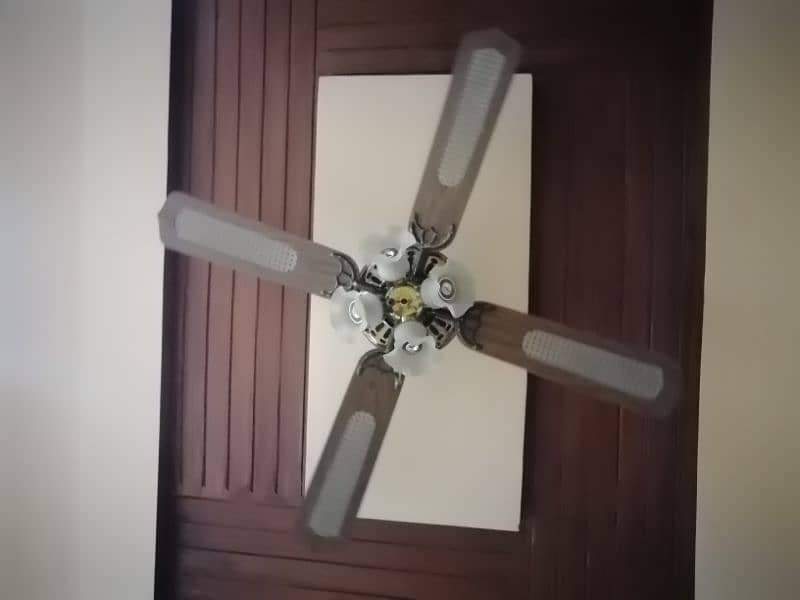 Imported Beautiful Fancy Fan 6