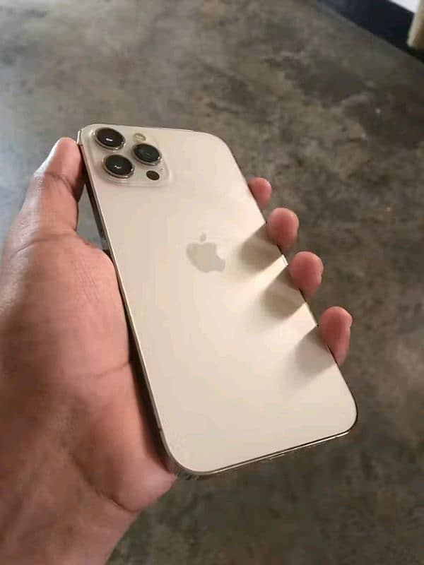 iphone 12 pro max LL 0