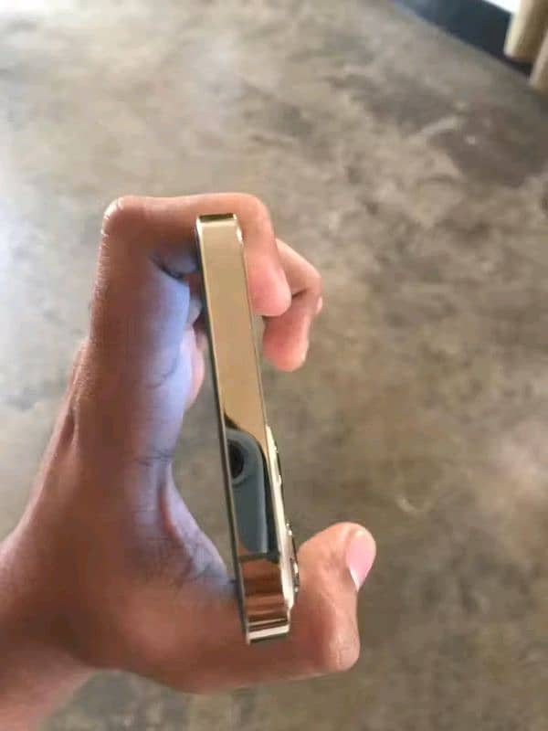iphone 12 pro max LL 1