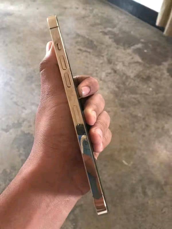 iphone 12 pro max LL 2