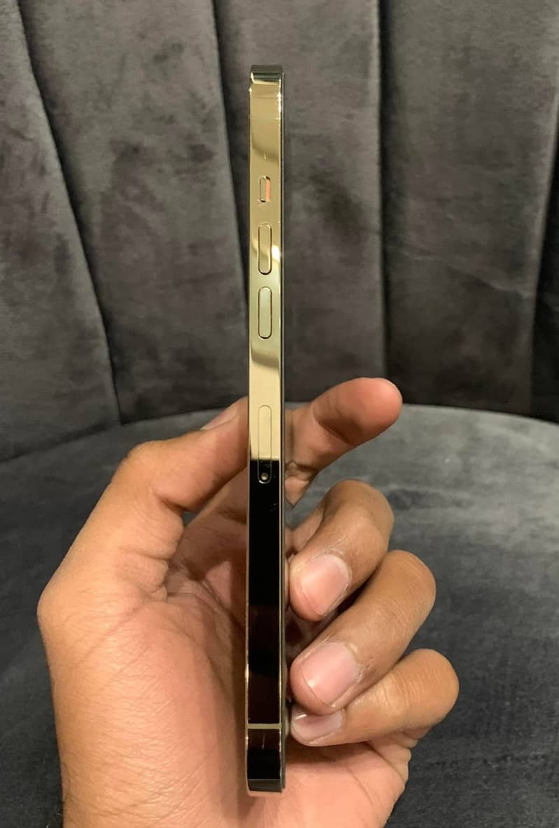 12 pro max pta 3