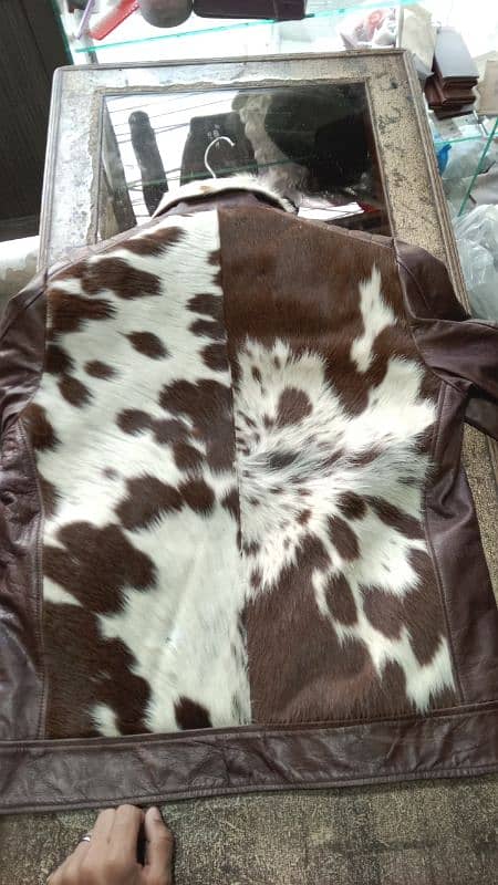 jacket 10