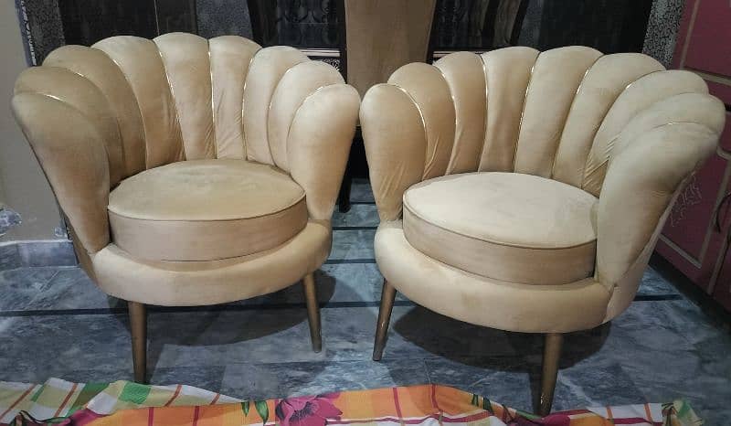 Elegant Velvet Shell Chairs – Set of 2 0