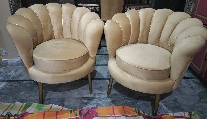 Elegant Velvet Shell Chairs – Set of 2 1