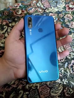 Vivo
