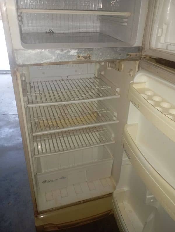 pel refrigerator 5 foot hight. . good quality 0