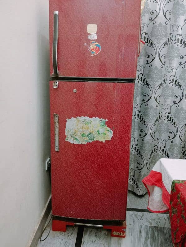 fridge 2