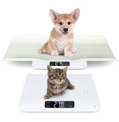 Digital Pet Scale Accurately Weigh Your Kitten,Rabbit,or Puppy etc 1