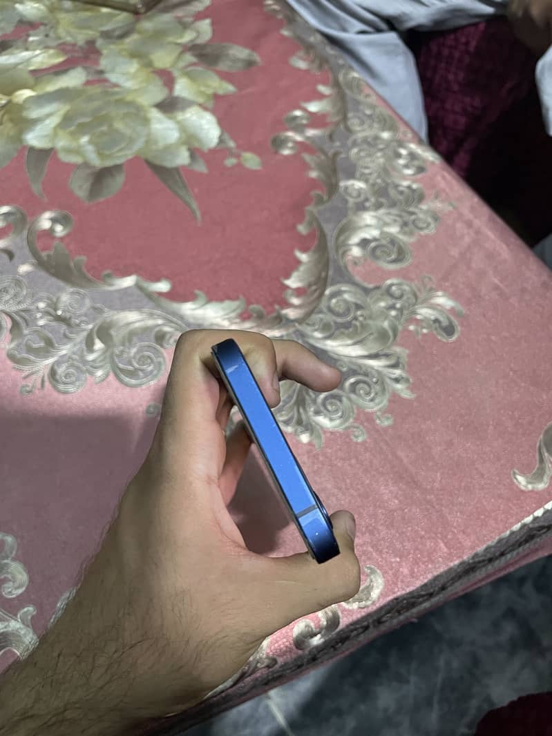 iPhone 12 5