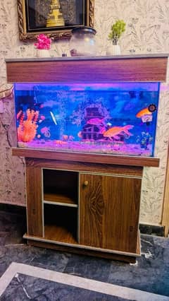 aquarium