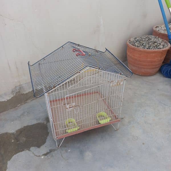 Cage in Good Condition 1