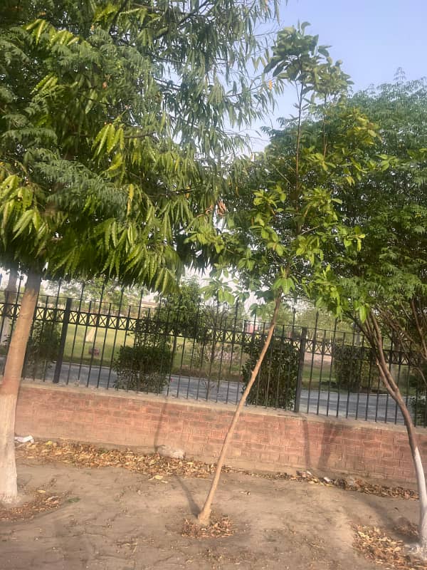 "2 Kanal Investor Rate Plot for Sale at Hot Location in IEP Town, Block E-1 6