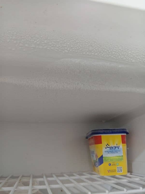 Haier refrigerator 3