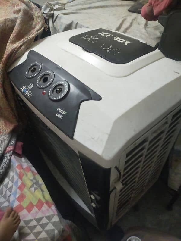 big size cooler for sale 1