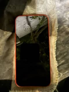 iphone 12 jv