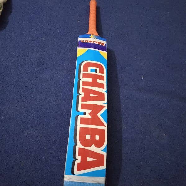 coconut bat 5