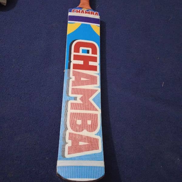 coconut bat 7