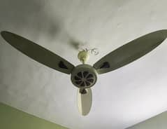 GFC Fan 10/10 condition hardly a month used.