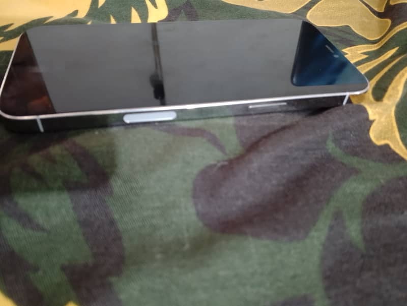Apple iPhone 12 Pro Max 2