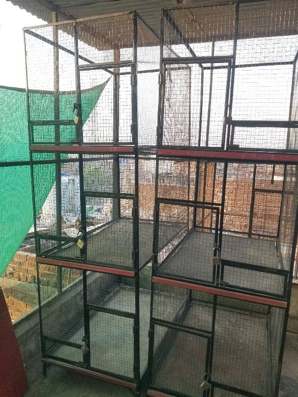 iron cages 1