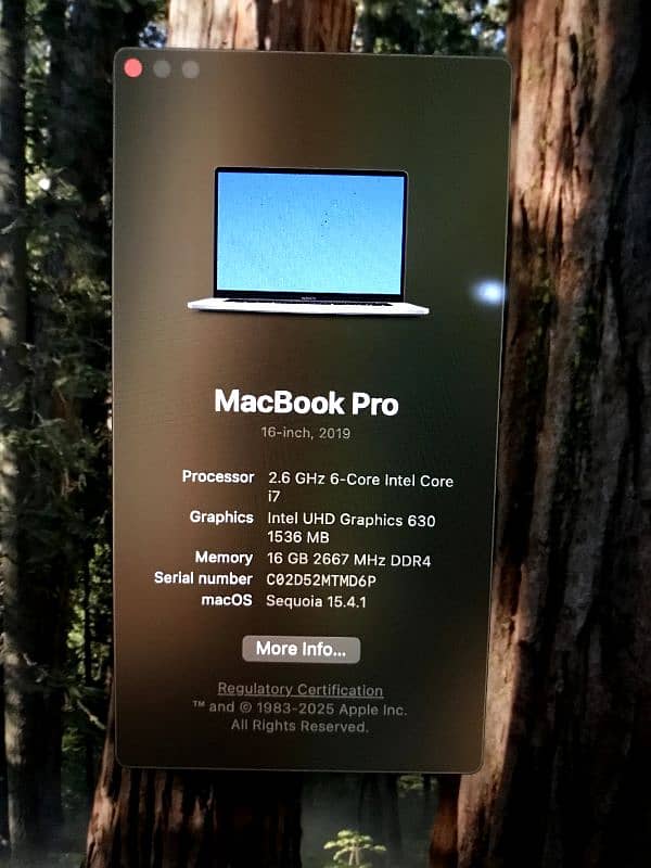 MacBook pro 2019 0