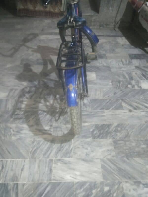 bycycle 1
