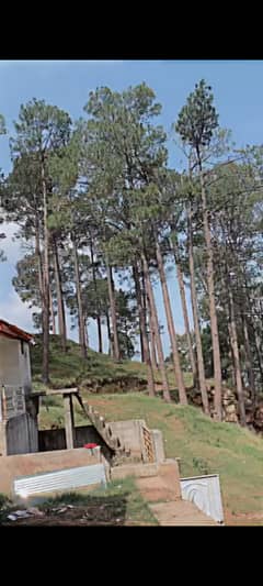 Excellent Plot For Living/ Investment