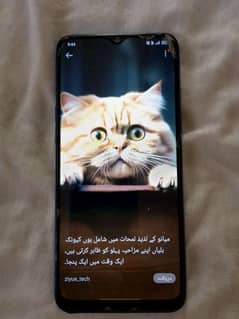 Realme (5)