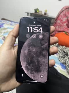 12 pro max