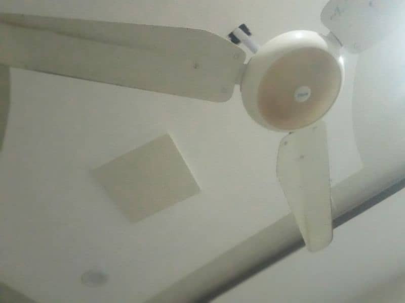 Ceiling fan for sale 1