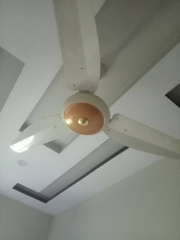 Ceiling fan for sale 2