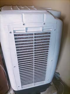 Air cooler