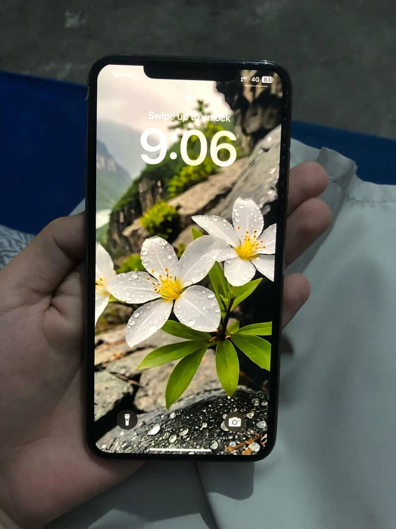 iPhone xsmax approved 0