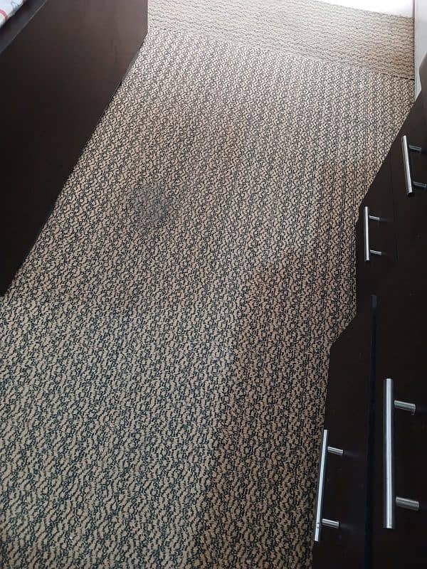 Carpet 0
