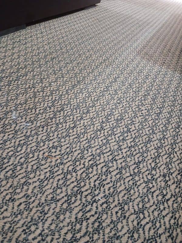 Carpet 1
