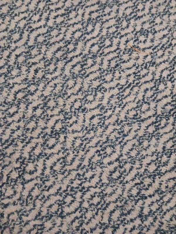 Carpet 2