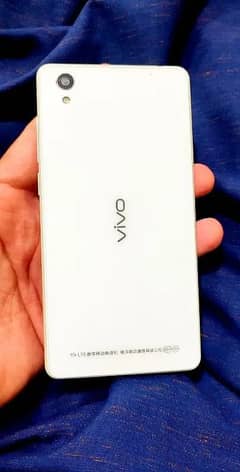 vivo