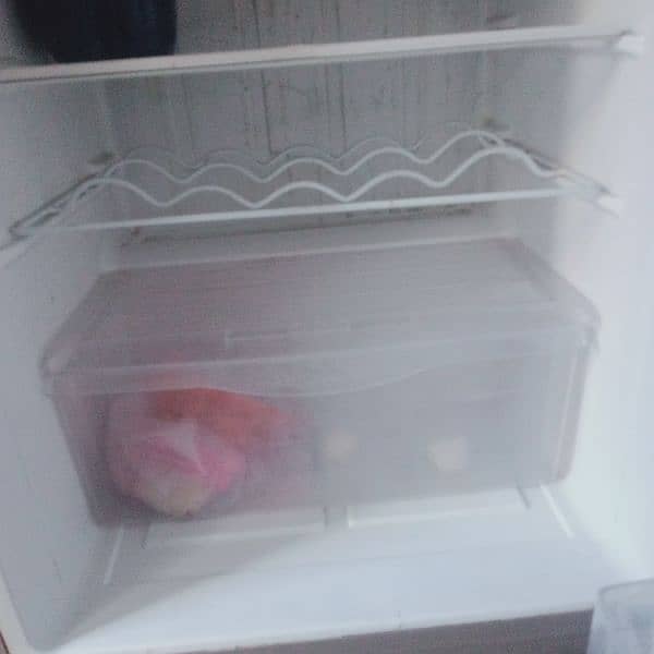pel fridge large size 4