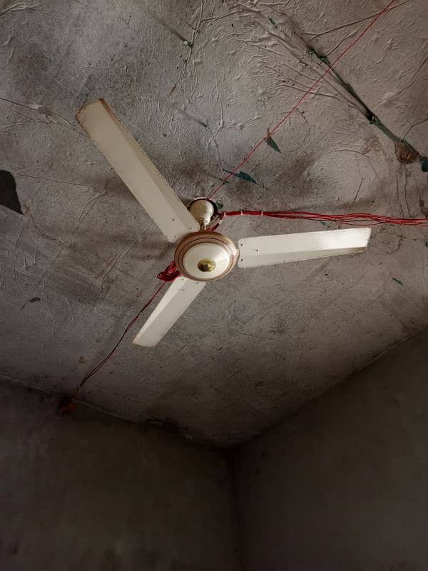 climax fan 0
