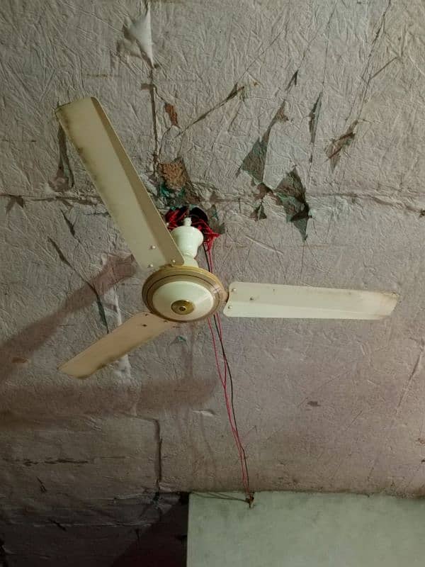 climax fan 1