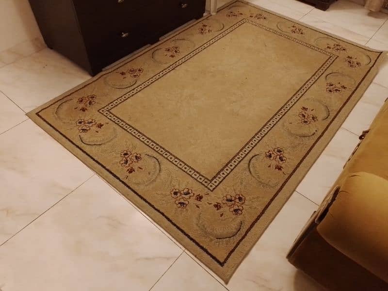Brand new carpets 6