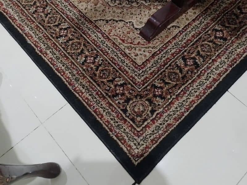 Brand new carpets 8
