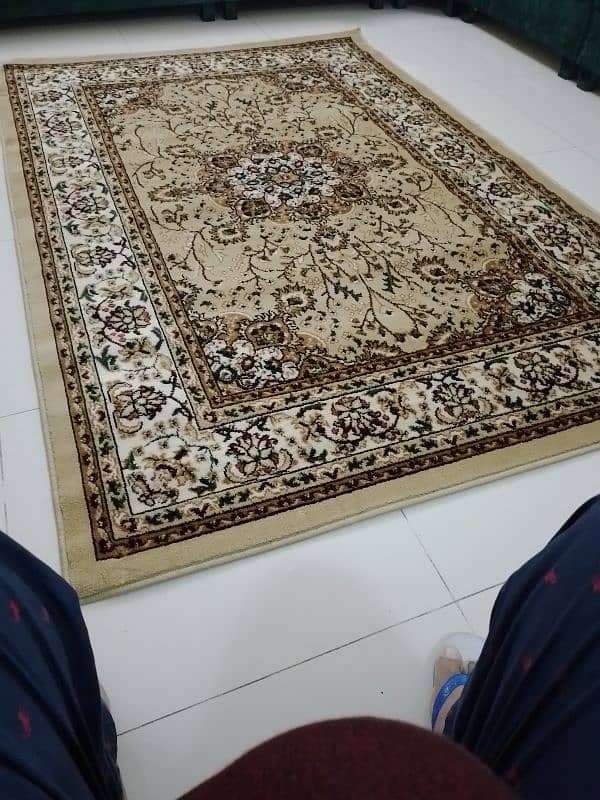 Brand new carpets 18