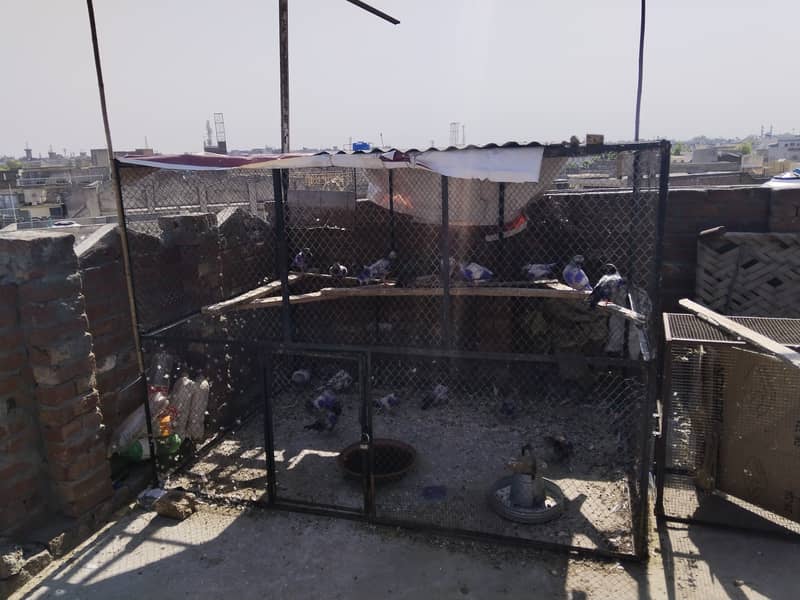 7by5 ka cage for sale 0