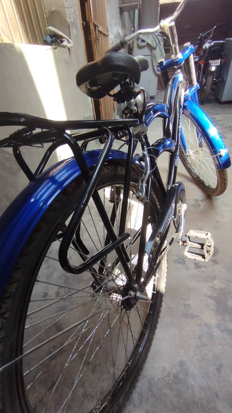 Bicycle, full size 0