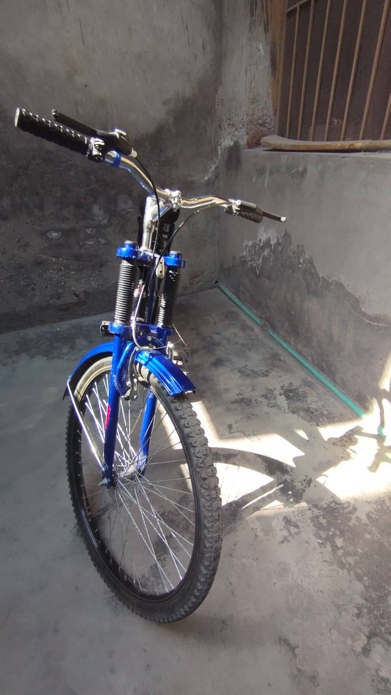 Bicycle, full size 1