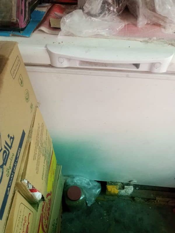 Haier Deep freezer single door 3