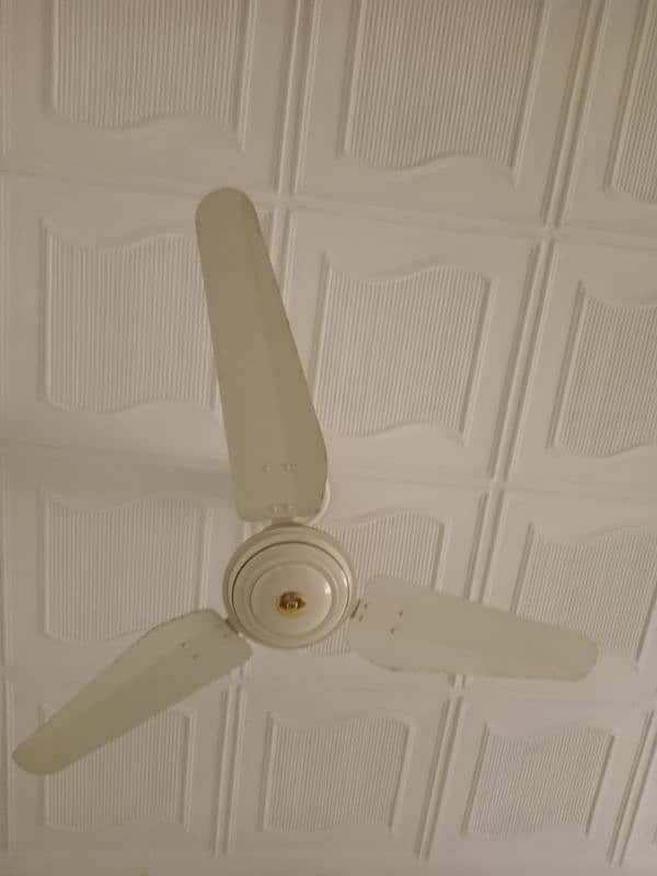 Royal ceiling fan (ac) 1